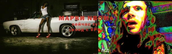 гидропоника Горняк