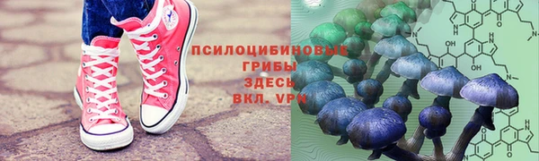 соль ск Горно-Алтайск